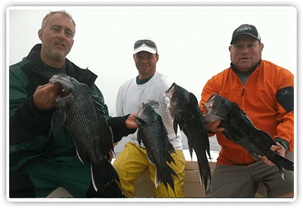 Bottom Fishing - What We Do