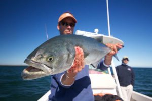Please remember to go get your Nantucket Salt Water Fishing Permit